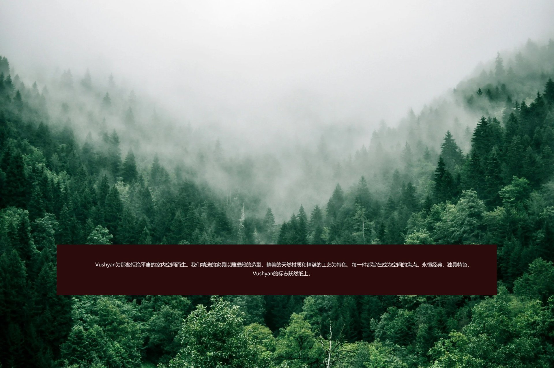 homepage-slide-1