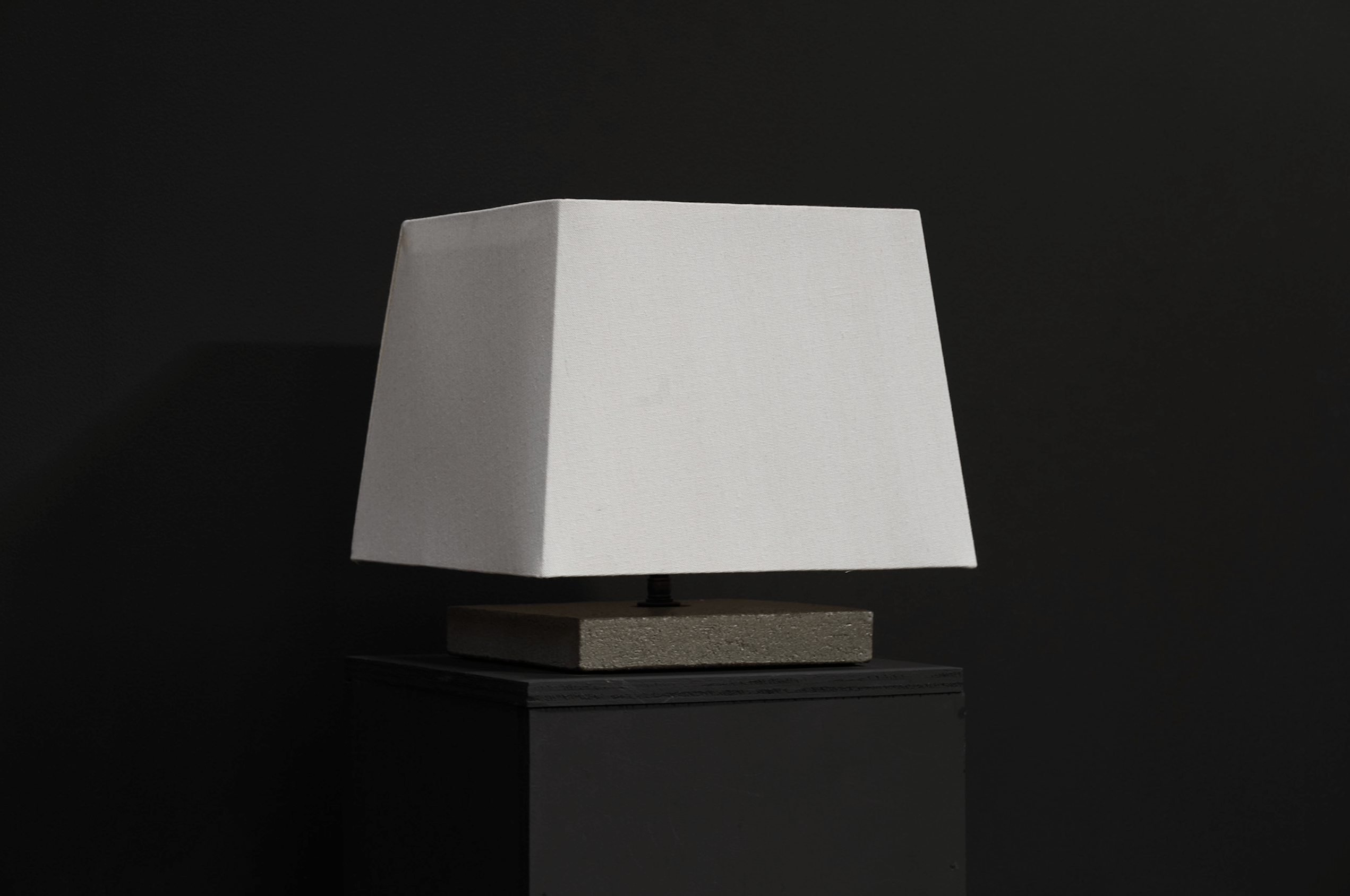 Fin Lamp, Lichen