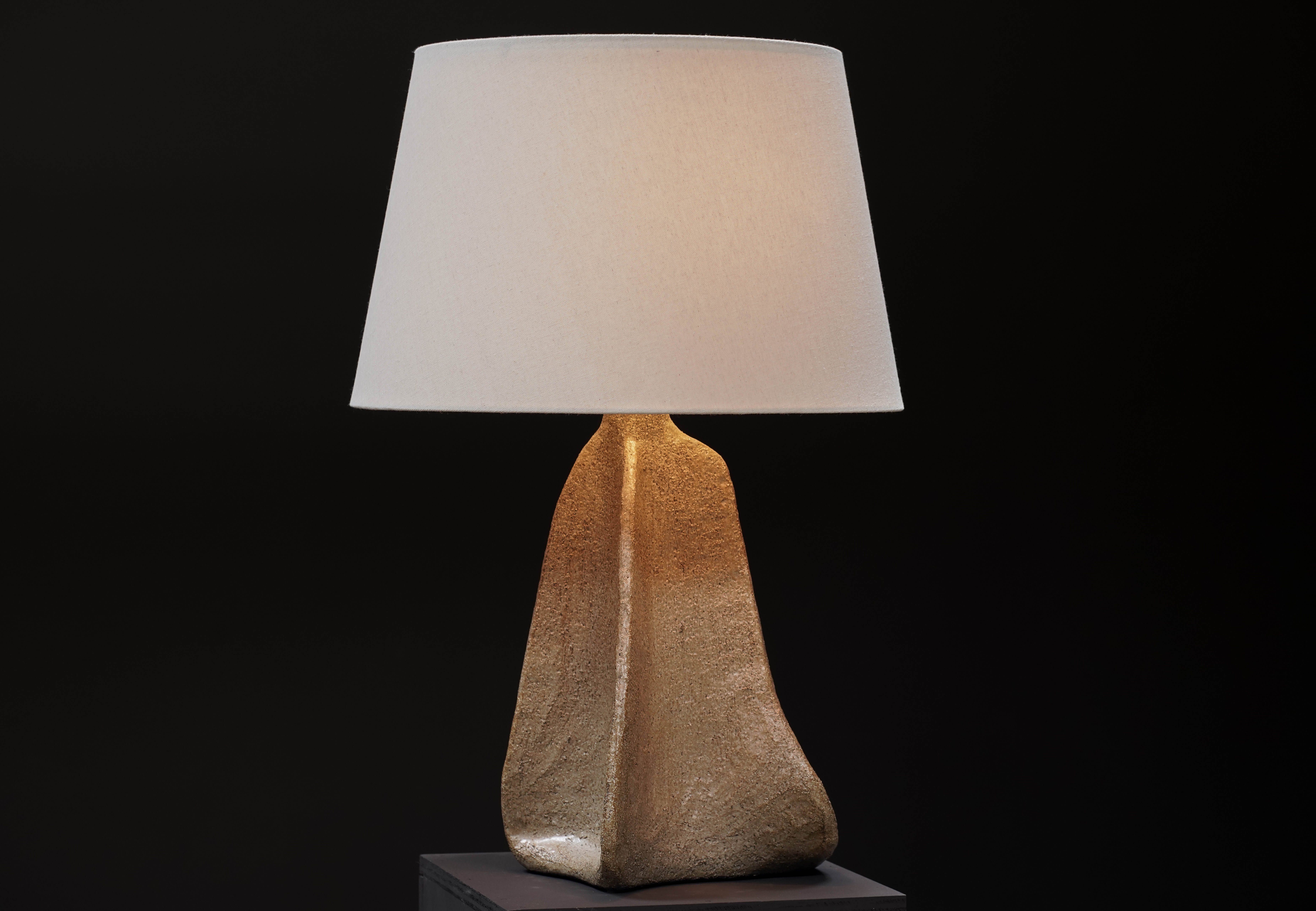 Flux Lamp, Lichen