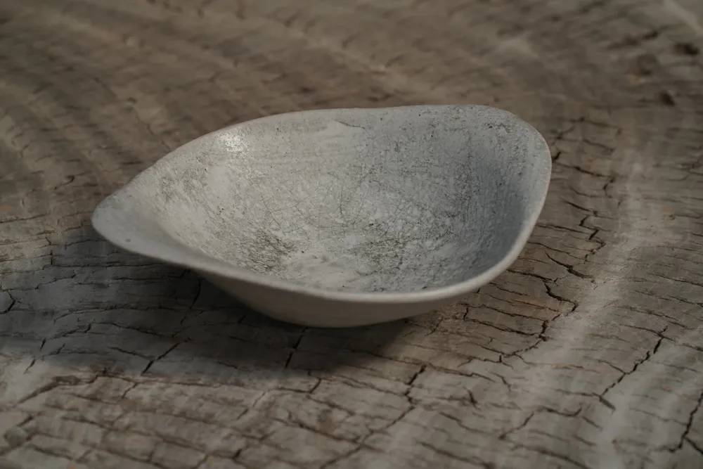 Japanese Contemporary Dish 