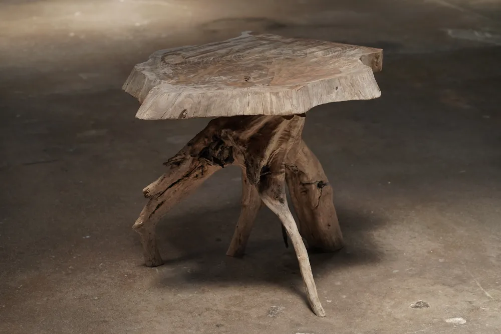 Slab Root Side Table