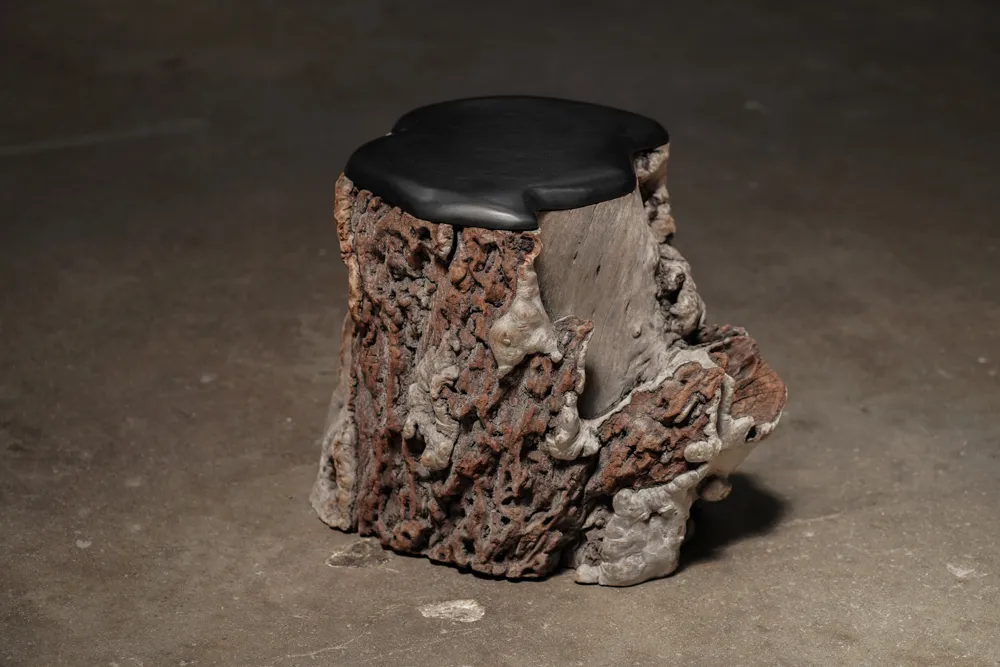 Cashew Topped Stump