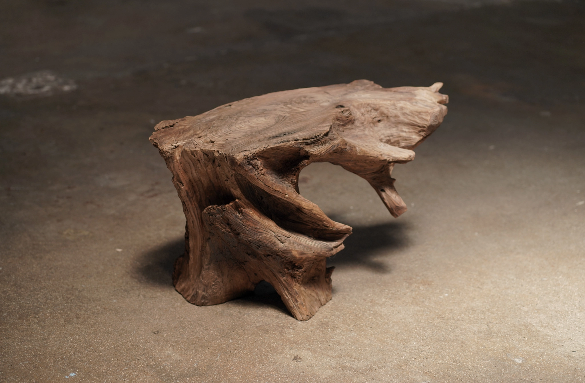 Trunk Root Side Table	