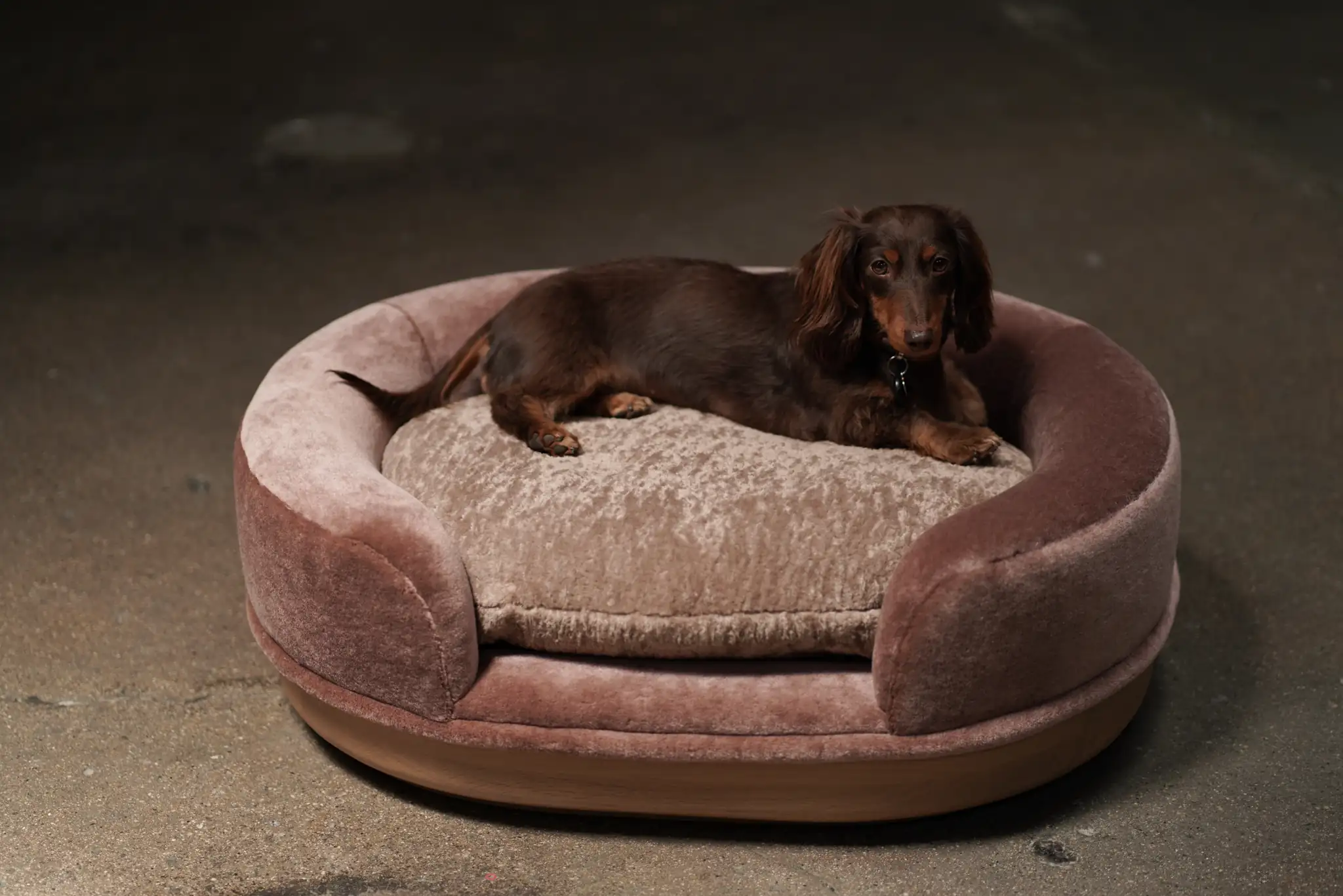 Nido Pet Bed, Small, by Studio Vushyan